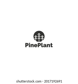 Miniamlist line art pine plant logo symbol design.