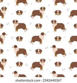 Miniature american shepherd seamless pattern. Different poses, coat colors set.  Vector illustration