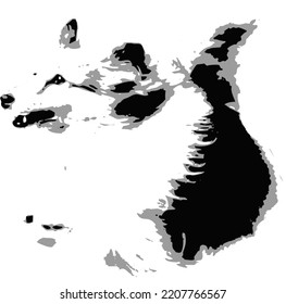 Miniature collie jumping vector illustration
