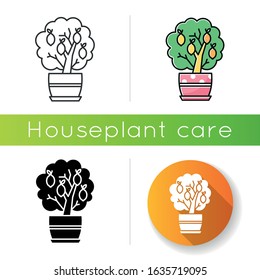 Miniature lemon tree icon. Potted evergreen citrus. Indoor plant with yellow fruit. Fruiting houseplant. Natural home, office decor. Linear black and RGB color styles. Isolated vector illustrations