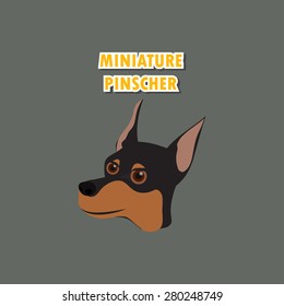 Miniature Pinscher