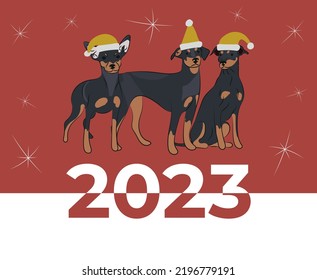 Miniature Pinscher breed, dog pedigree drawing. Cute dog characters in various poses, designs for prints, adorable and cute Christmas Doberman Pinscher cartoon vector set, in different poses.