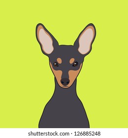 Miniature Pinscher, The buddy dog
