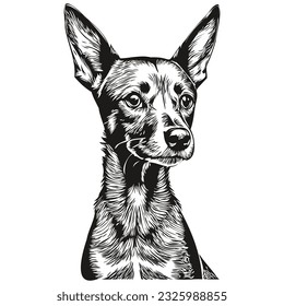 Miniature Pinscher dog hand drawn logo drawing black and white line art pets illustration realistic pet silhouette