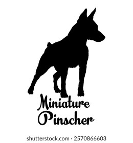 Miniature Pinscher. dog silhouette, dog breeds, logo, vector, silhouette,  animal, illustration, icon, sign, design, black, symbol, pet, love
