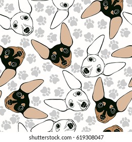 Miniature Pinscher. Seamless pattern with cute dog faces and dog traces.