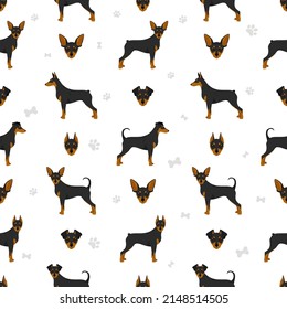 Miniature pinscher seamless pattern. Different poses, coat colors set.  Vector illustration
