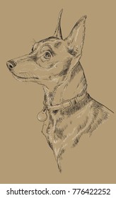 Miniature Pinscher vector hand drawing black and white illustration isolated on beige background