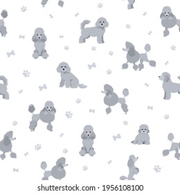 Miniature poodle clipart. Different poses, coat colors set.  Vector illustration