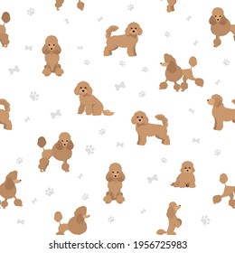 Miniature poodle clipart. Different poses, coat colors set.  Vector illustration