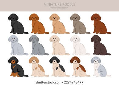 Miniatur Poodle Clip Art. Unterschiedliche Posen, Farben für die Fellfarbe.  Vektorgrafik