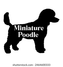 Miniatur Pudel Hund Silhouette Hunderassen Logo Hund Monogramm Vektorgrafik