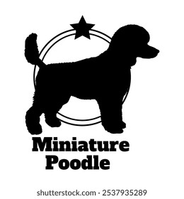 Miniatur Pudel Hund Silhouette, Hund, Hunderassen, Logo, Vektor, Silhouette, Logo-Design, Tier, Illustration, Symbol, Zeichen, Design, schwarz, Symbol, Haustier