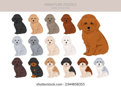 Miniatur Poodle Welpen Clipkunst. Unterschiedliche Posen, Farben für die Fellfarbe.  Vektorgrafik