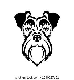 Miniature schnautzer face - isolated vector illustration