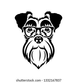 Miniature schnautzer face - isolated vector illustration