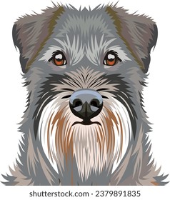 Miniature Schnauzer Dog Face isolated vector illustration