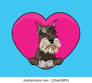 Miniature Schnauzer dog hanging with paws in a big Valentine's day heart.Love pink heart with pet head and heart and footprint.Dog face Holding Pink Heart Cartoon Icon.St Valentine's day for dog funs.