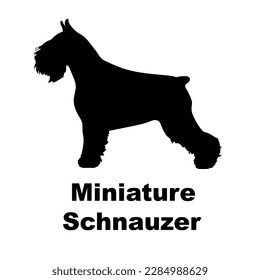 razas de perros de silueta de perro de schnauzer en miniatura