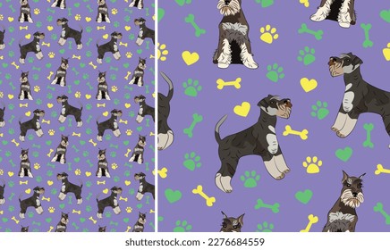 Perros Schnauzer en miniatura sobre un fondo violeta juguetón con huesos, corazones, patas. Funky, colorido, vibrante paleta.Sencilla, limpia y moderna textura. Patrón veraniego sin costuras con perros. Tarjeta de cumpleaños.