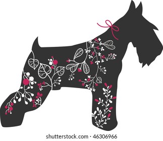 miniature  schnauzer with floral design