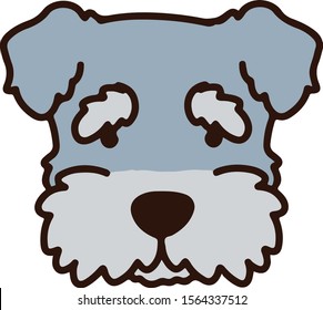 Miniature Schnauzer front face outlined