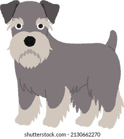 Miniature Schnauzer is highly playful dogs, and, if not given the outlet required for their energy, they can become bored and invent their own "fun". 