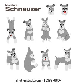 Miniature Schnauzer Illustration,dog Poses,dog Breed