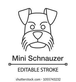 Miniature Schnauzer linear icon. Thin line illustration. Zwergschnauzer. Contour symbol. Vector isolated outline drawing. Editable stroke