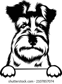 Miniature Schnauzer Peeking Dog Vector Image Funny Schnauzer Silhouette Cricut Cut File Ready To Print