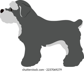 Vista lateral Schnauzer en miniatura de color plano