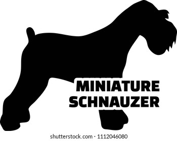 Miniature Schnauzer silhouette real with word 