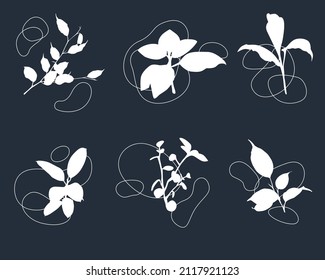 Dibujo de línea continua mínimo y abstracto de la imagen vectorial. Vector de plantas blancas