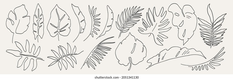 Minimal abstract leaves in a line drawing set. Vector tropical leaf pattern isolated on white background. Trendy botanical elements for your design