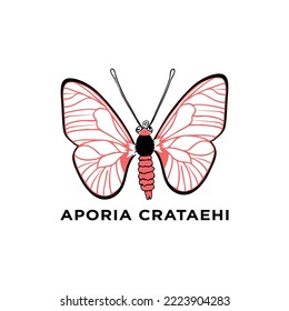 Minimal aporia silhouette butterfly vector icon on a background