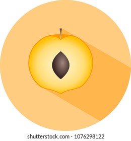 Minimal apricot icon in flat design