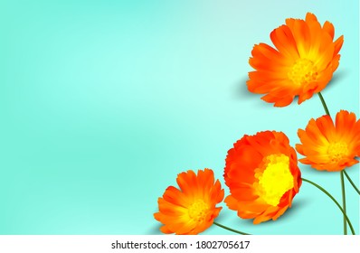 Minimal background with calendula flower and copy space for your text. 3D realistic yellow marigold flower on blue background. Banner. Vector illustration. 