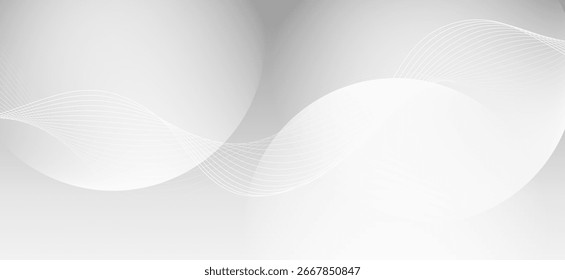 Fondo minimalista con elegantes tonos blanco-gris, sin colores brillantes, colores suaves y silenciosos, sin colores sobresalientes, haciendo que la Imagen se vea limpia.