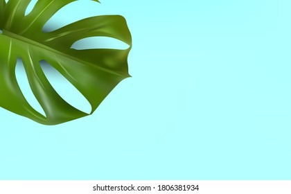 Minimal background with tropical leaf and copy space for your text. Realistic monstera with split-leaf foliage that grows in the wild. Banner for perfumes, cosmetic products, essential oil. Vector