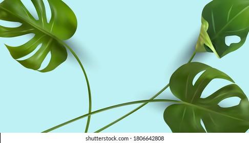 Minimal background with tropical leaf and copy space for your text. Realistic monstera with split-leaf foliage that grows in the wild. Banner for perfumes, cosmetic products, essential oil. Vector