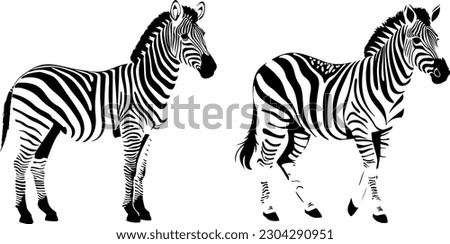 Minimal and beautiful design of two zebras