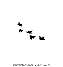 Minimale Vogelschatten auf einfarbigem weißem Hintergrund, von der Tierwelt inspiriertes natürliches Gestaltungselement.