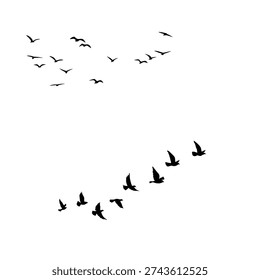 Minimal birds flying in linear formation silhouette illustration, clean vector design representing travel, migration and peaceful sky movement.