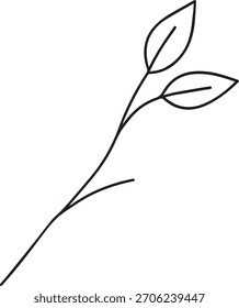 Minimal black line tree branch with two leaves on transparent background