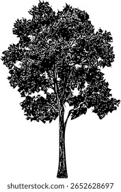Mínima ilustração em preto e branco com linhas limpas e alto contraste, adequado para impressões, decoração e projetos gráficos.