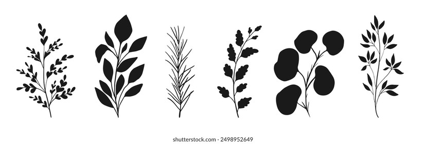 Minimal botanic vector art. Set of floral elements. Plant illustrations,  flowers and leaves
