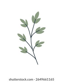 Minimal Botanical Element with Soft Green Leaves and Thin Stem
