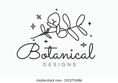 Minimal Botanical and Floral Logos and Frames