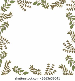 Marco botánico mínimo hecho con hierbas y hojas dibujadas a mano. Ideal para recetas, invitaciones, embalajes o marcas de productos naturales.