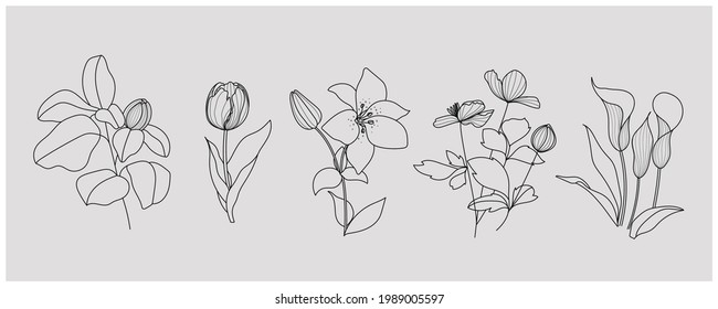 minimal botanical graphic sketch drawing, trendy tiny tattoo design, floral elements vector illustration